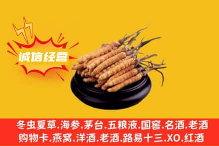 洛阳宜阳县回收冬虫夏草
